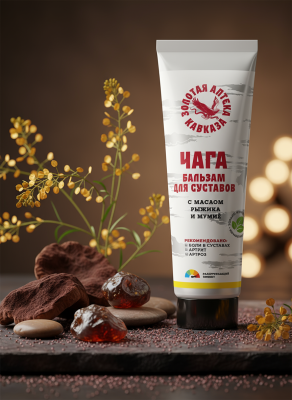 Бальзам Чага Здоровые суставы с маслом рыжика и мумиё, 90 г