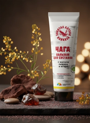 Бальзам Чага Здоровые суставы с маслом рыжика и мумиё, 90 г