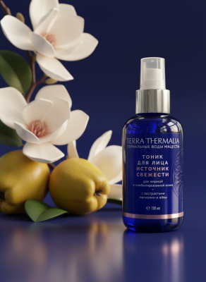 Тоник для лица Источник свежести для жирной и комбинированной кожи, 150 г