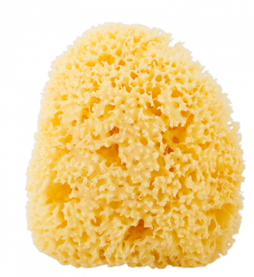 Морская губка "Honeycomb" отбеленная (6-8 см)